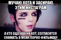 Мучаю кота и засираю этим инстаграм А кто ещё, как ни кот, согласится снимать в моих порно фильмах?