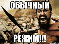 ОБЫЧНЫЙ РЕЖИМ!!!