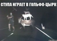 ступа играет в гольфо-цырк 