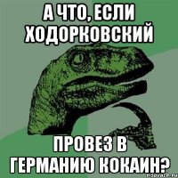 а что, если ходорковский провез в германию кокаин?