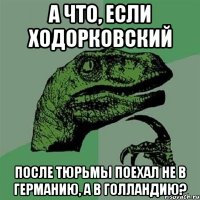 а что, если ходорковский после тюрьмы поехал не в германию, а в голландию?