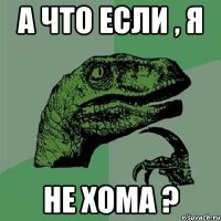 А что если , я не хома ?