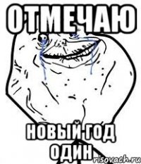 отмечаю новый год один