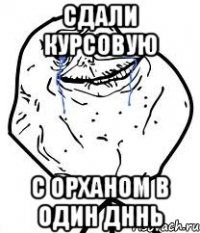 сдали курсовую С Орханом в один дннь