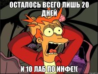 Осталось всего лишь 20 дней и 10 лаб по инфе!(