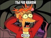 Ты чо какой СТАФ