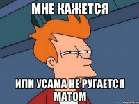 МНЕ КАЖЕТСЯ ИЛИ УСАМА НЕ РУГАЕТСЯ МАТОМ