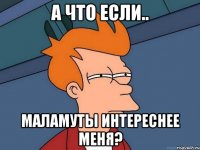 А что если.. Маламуты интереснее меня?