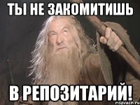 Ты не закомитишь в репозитарий!