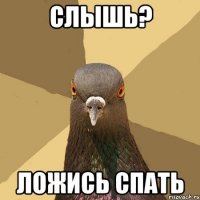 слышь? ложись спать