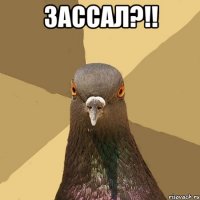 ЗАССАЛ?!! 