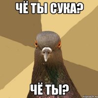 ЧЁ ТЫ СУКА? ЧЁ ТЫ?