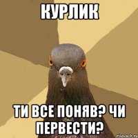 курлик ти все поняв? чи первести?