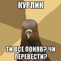 курлик ти все поняв? чи перевести?