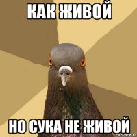 как живой но сука не живой