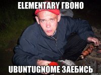 elementary гвоно ubuntuGnome заебись