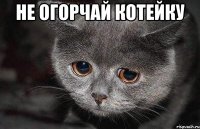 Не огорчай котейку 