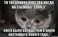 То тоскливое чувство,когда на съемках "Елок 3" снега было больше, чем в канун настоящего Нового года...