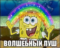  Волшебный ПУШ