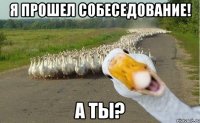 Я прошел собеседование! А ты?