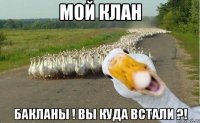 Мой клан Бакланы ! Вы куда встали ?!