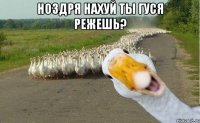 Ноздря нахуй ты гуся режешь? 