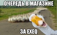 очередь в магазине за EXEQ