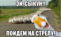 эй, сыкун!! пойдем на стрелу!