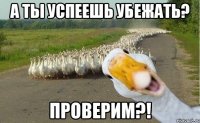 А ты успеешь убежать? Проверим?!