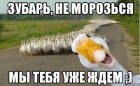 Зубарь, не морозься мы тебя уже ждем ;)