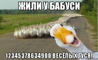 Жили у бабуси 12345378634900 весёлых гуся!