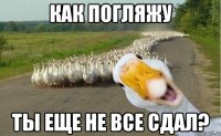 КАК ПОГЛЯЖУ ТЫ ЕЩЕ НЕ ВСЕ СДАЛ?