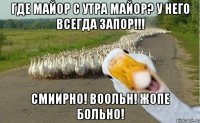 Где майор с утра майор? У него всегда запор!!! Смиирно! Воольн! Жопе Больно!