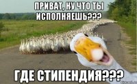 Приват, ну что ты исполняешь??? Где стипендия???