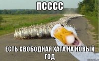 ПСССС ЕСТЬ СВОБОДНАЯ ХАТА НА НОВЫЙ ГОД