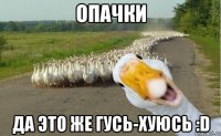 опачки да это же Гусь-хуюсь :D