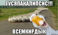 Гусяпакалипсис!!! Всемкирдык