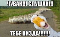 ЧУВАК!!! СЛУШАЙ!!! ТЕБЕ ПИЗДА!!!!!!!