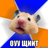  Оуу щиит