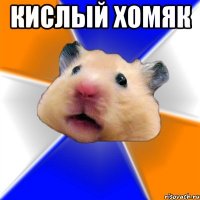 Кислый хомяк 