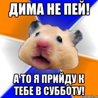 Дима не пей! а то я прийду к тебе в субботу!