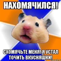 Нахомячился! Схомячьте меня! Я устал точить вкусняшки!