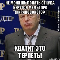 Не можешь понять откуда берутся мемы про Жириновского? Хватит это терпеть!