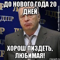 до нового года 20 дней хорош пиздеть, любимая!