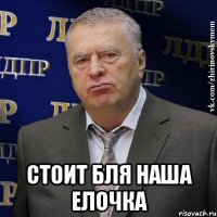  Стоит Бля наша елочка