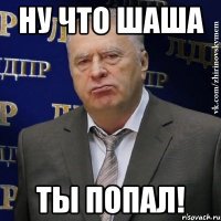 Ну что шаша ты попал!