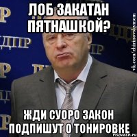 лоб закатан пятнашкой? жди суоро закон подпишут о тонировке