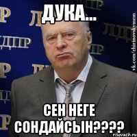 Дука... Сен Неге сондайсын????