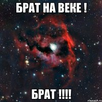 Брат на веке ! Брат !!!!
