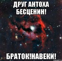 Друг Антоха бесценин! Браток!навеки!